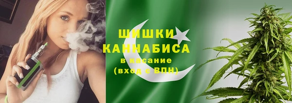 ПСИЛОЦИБИНОВЫЕ ГРИБЫ Белокуриха