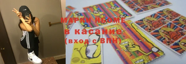 индика Беломорск