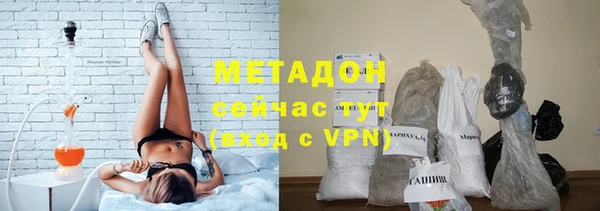 индика Беломорск