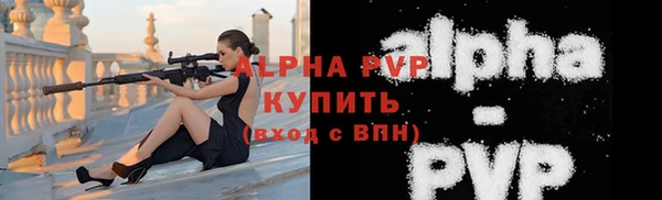 индика Беломорск