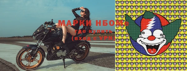 ПСИЛОЦИБИНОВЫЕ ГРИБЫ Белокуриха