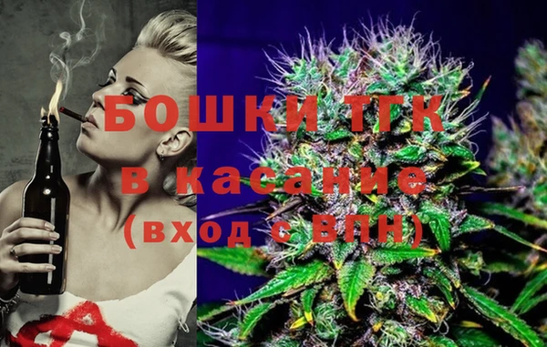 индика Беломорск