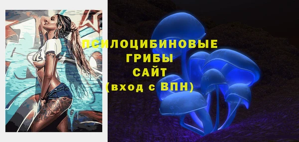 дурь Балахна