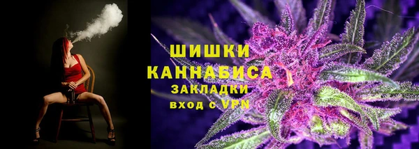 ПСИЛОЦИБИНОВЫЕ ГРИБЫ Белокуриха